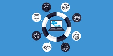 Salesforce Content Management 1
