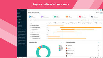 Zoho Projects 0