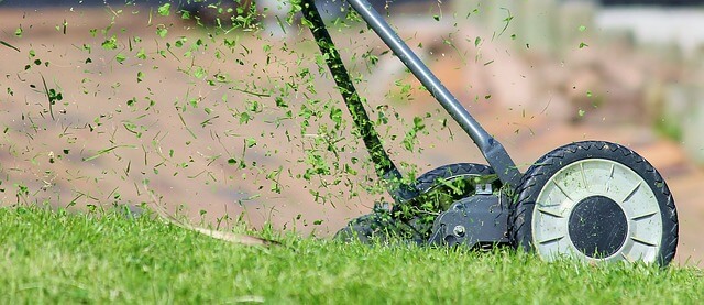lawn trimming