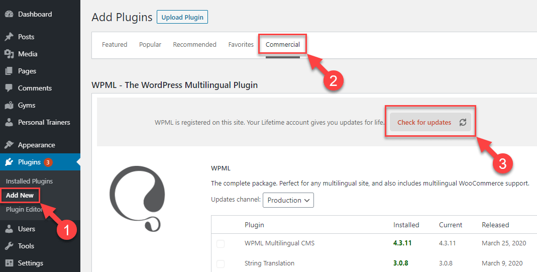 WPML screenshot 2