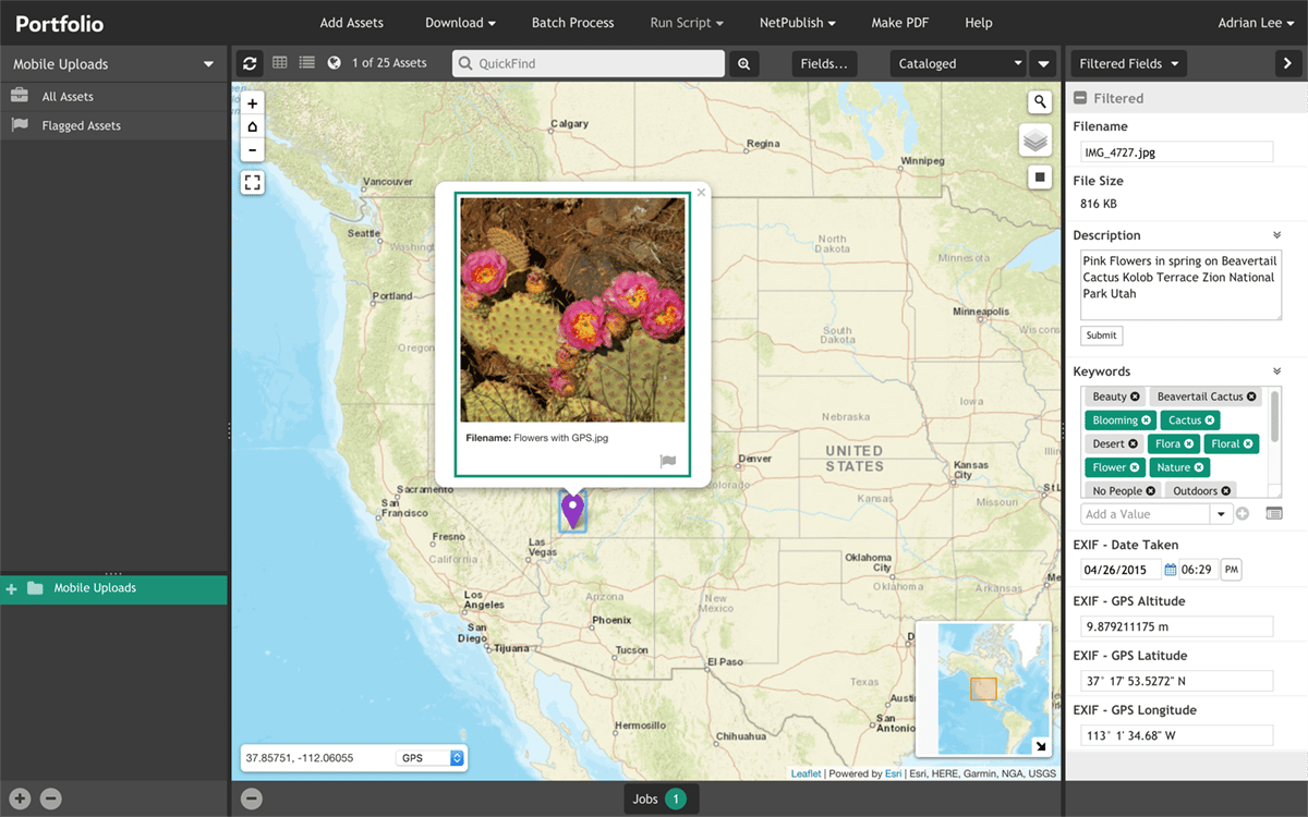 Extensis screenshot 4