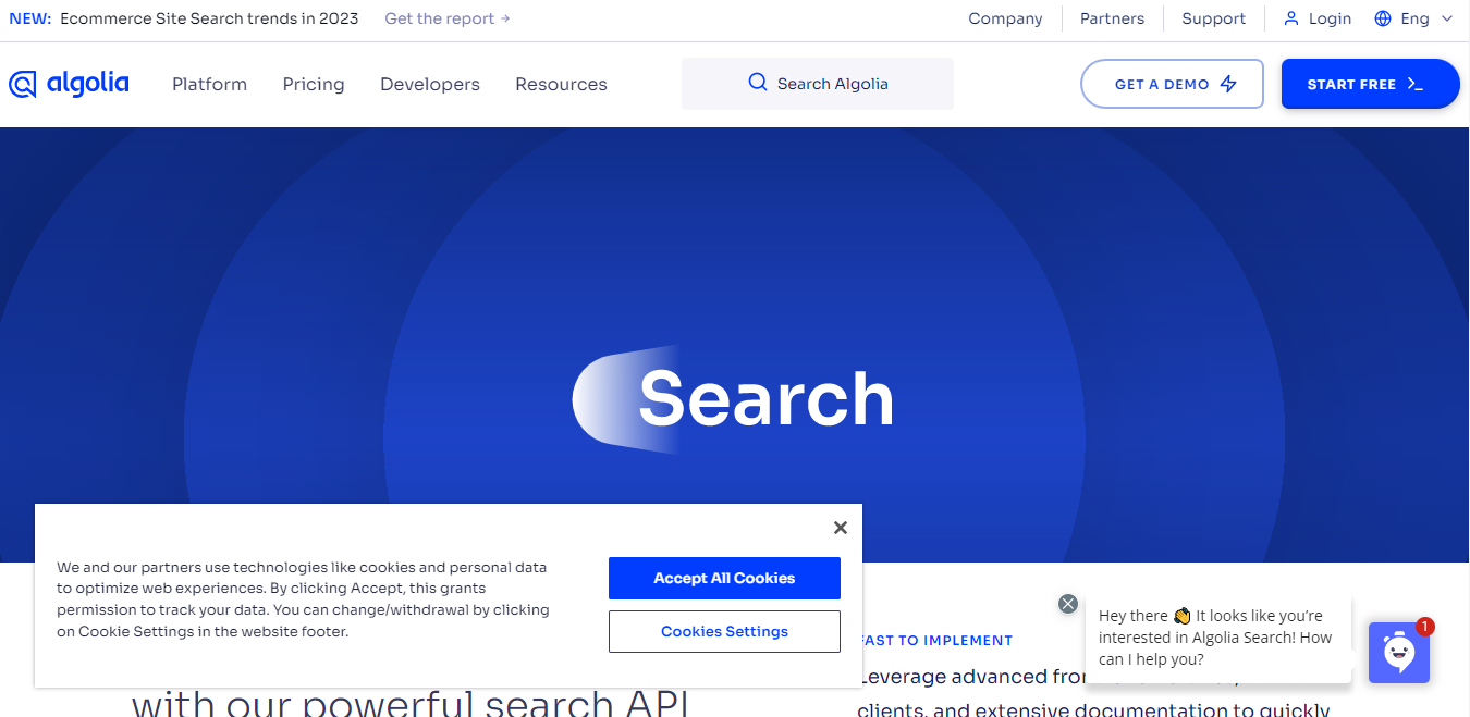 Algolia screenshot 1