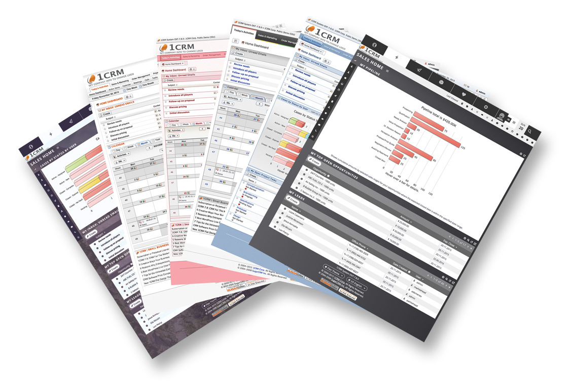 1CRM screenshot 4