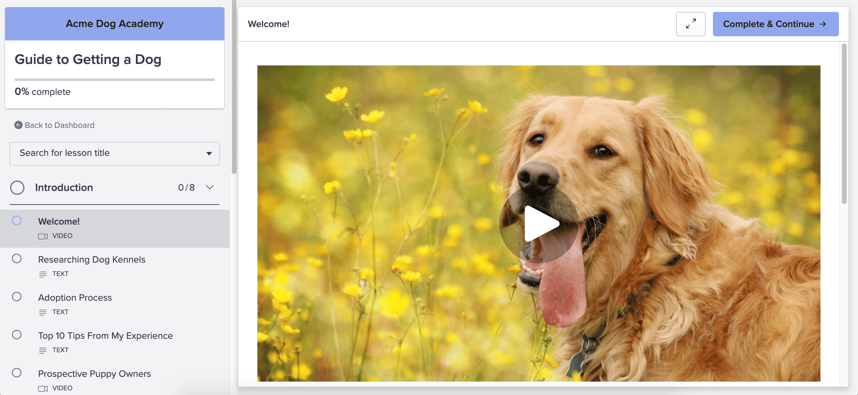 PayHip screenshot 2