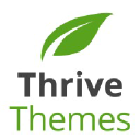 Фон Thrive Themes размытие-sm