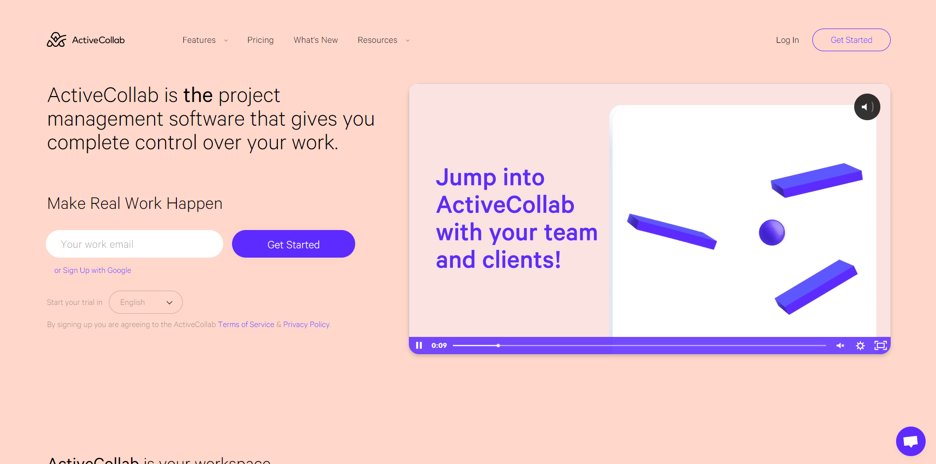 ActiveCollab screenshot 1