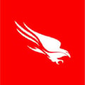 CrowdStrike Falcon Logo