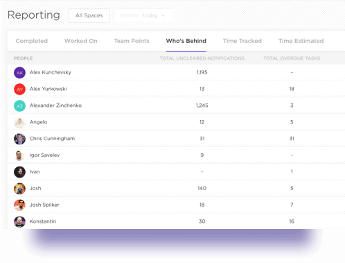 Team Insights and Reporting