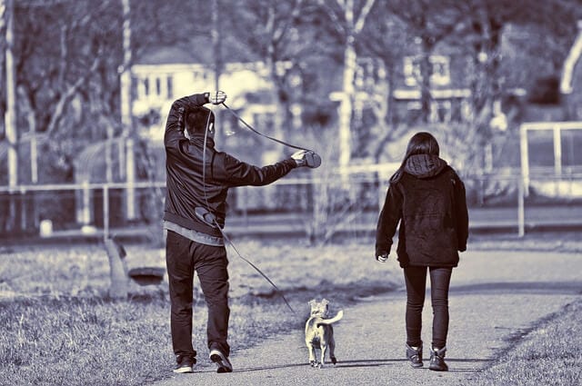 dog walking