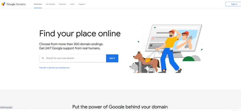 Google domain website homepage