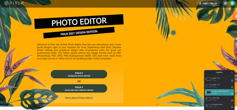 Pixlr Editor
