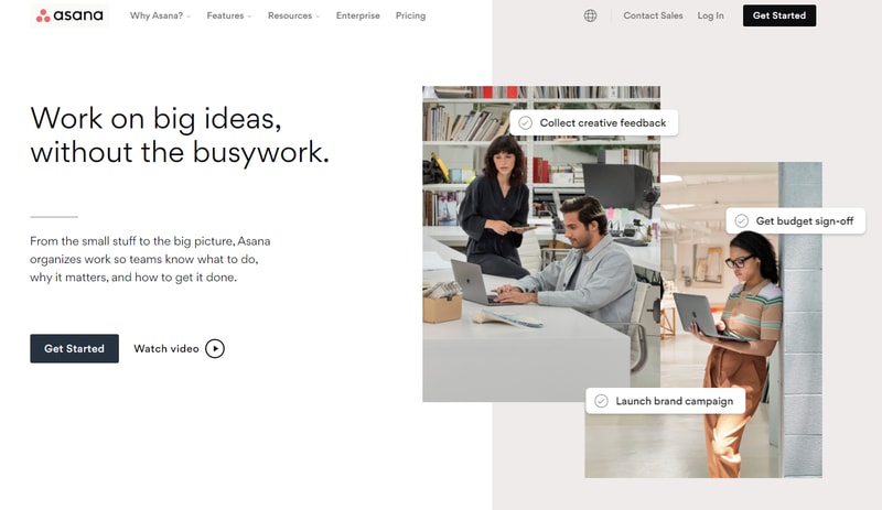 asana task managment