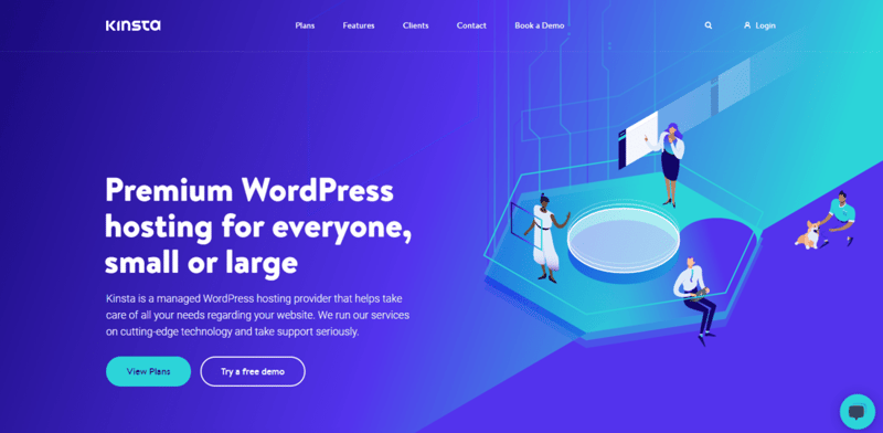 kinsta landing page