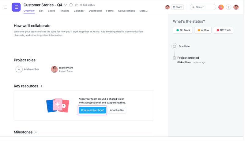 Asana collaboration page