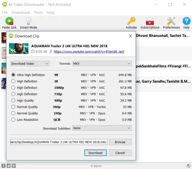 4K Video Downloader screenshot 4
