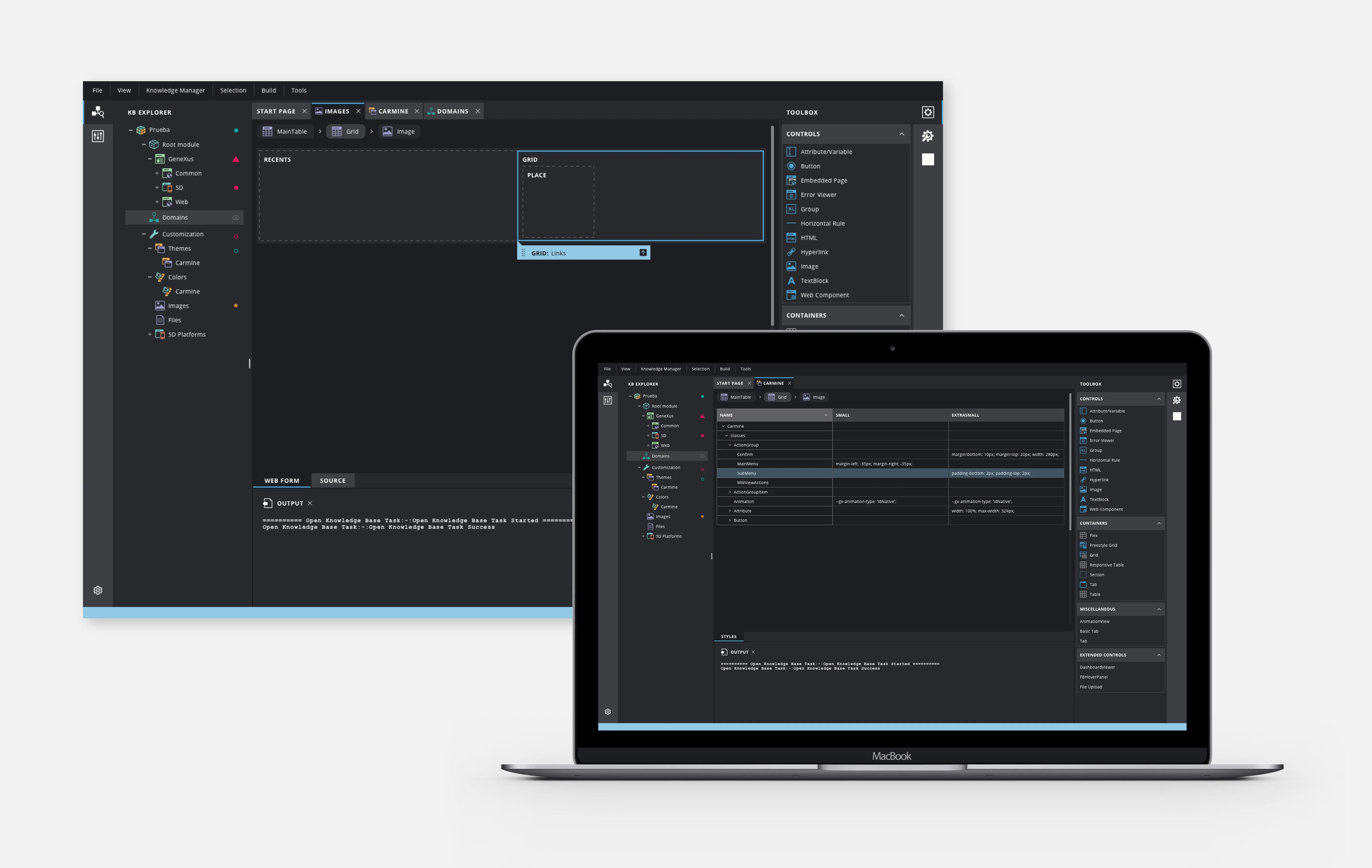 GeneXus screenshot 3