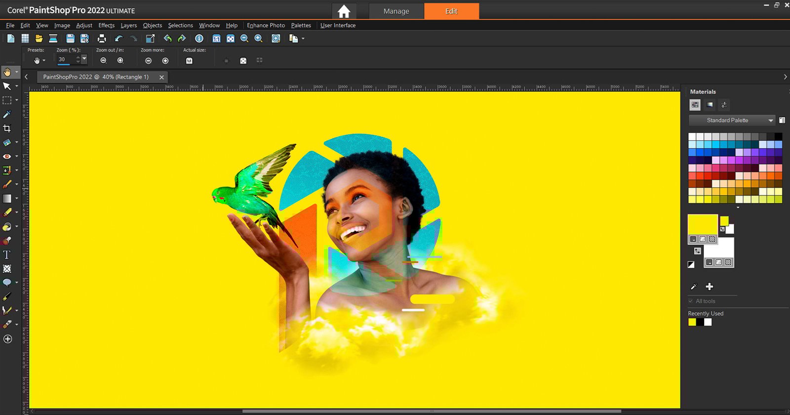 Corel PaintShop Pro screenshot 2