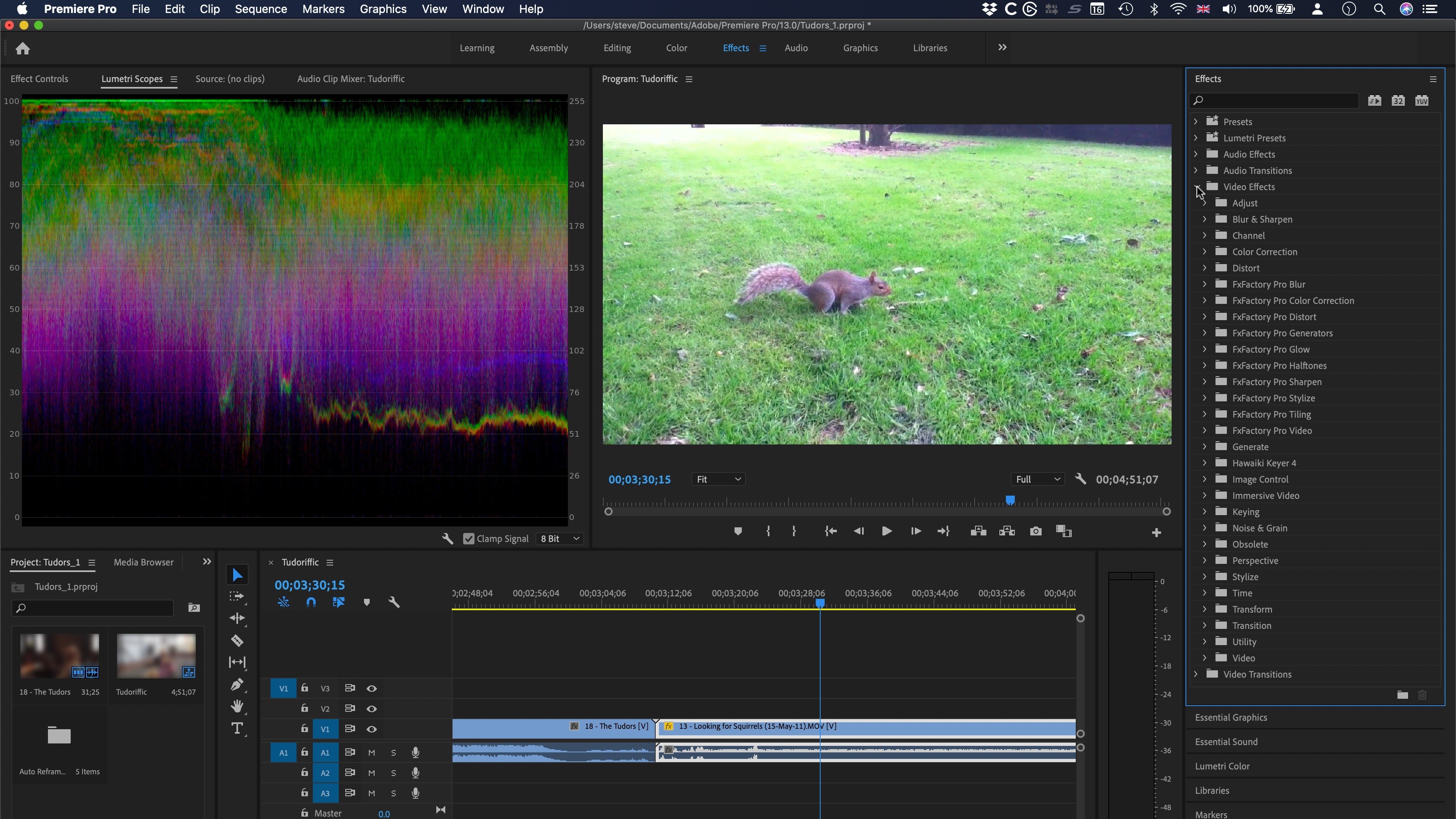 Adobe Premiere Pro screenshot 4