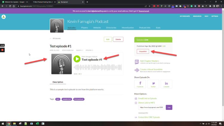 Buzzsprout screenshot 3