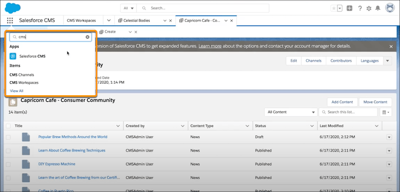 Salesforce Content Management screenshot 5