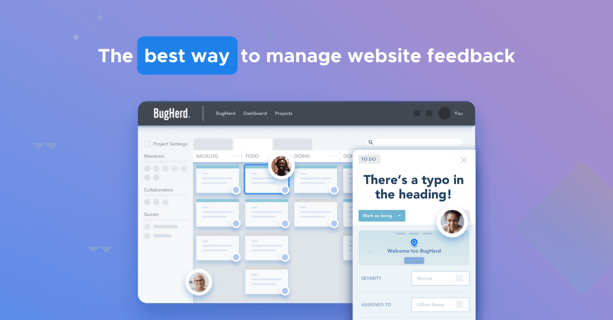 BugHerd screenshot 4