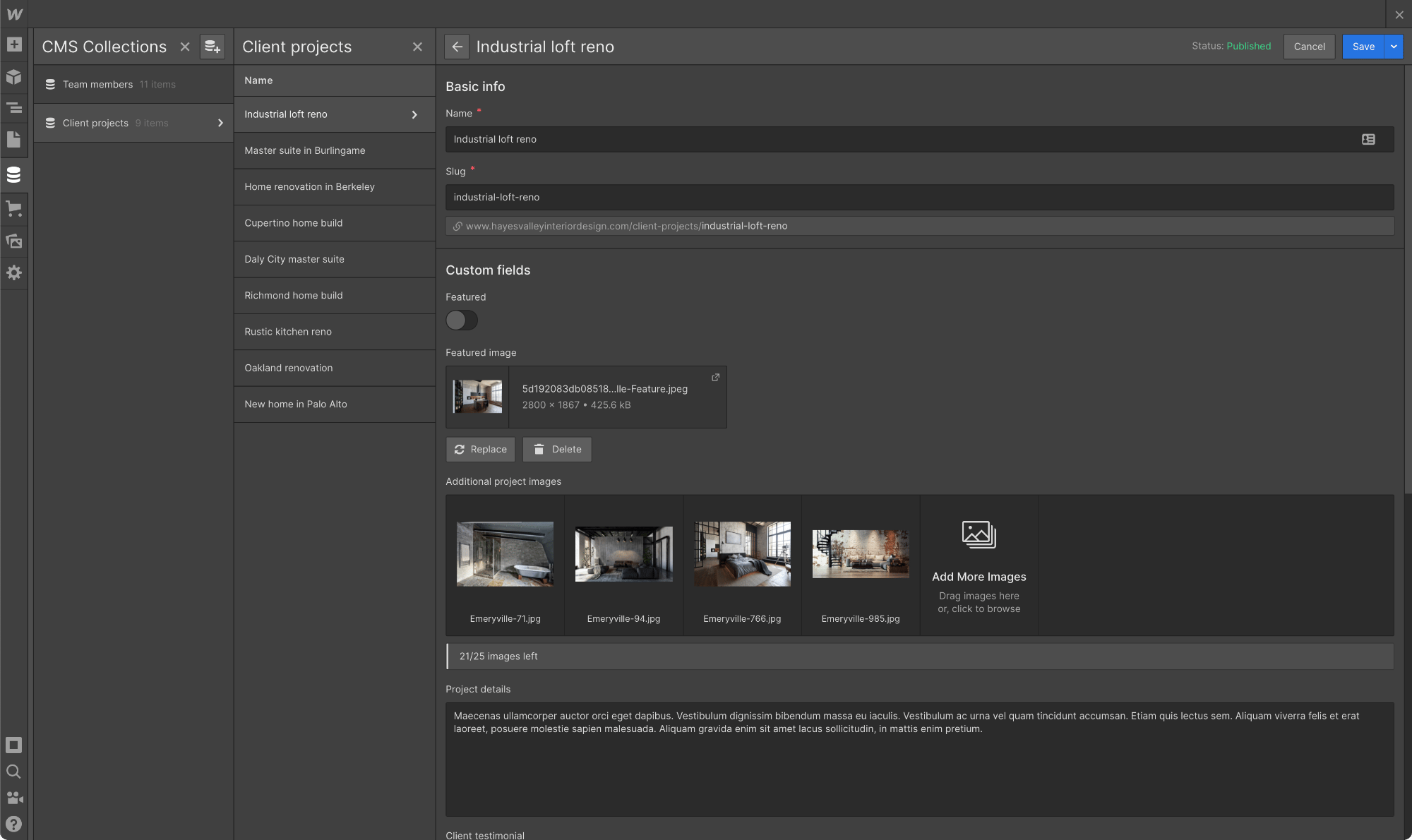 Webflow screenshot 4