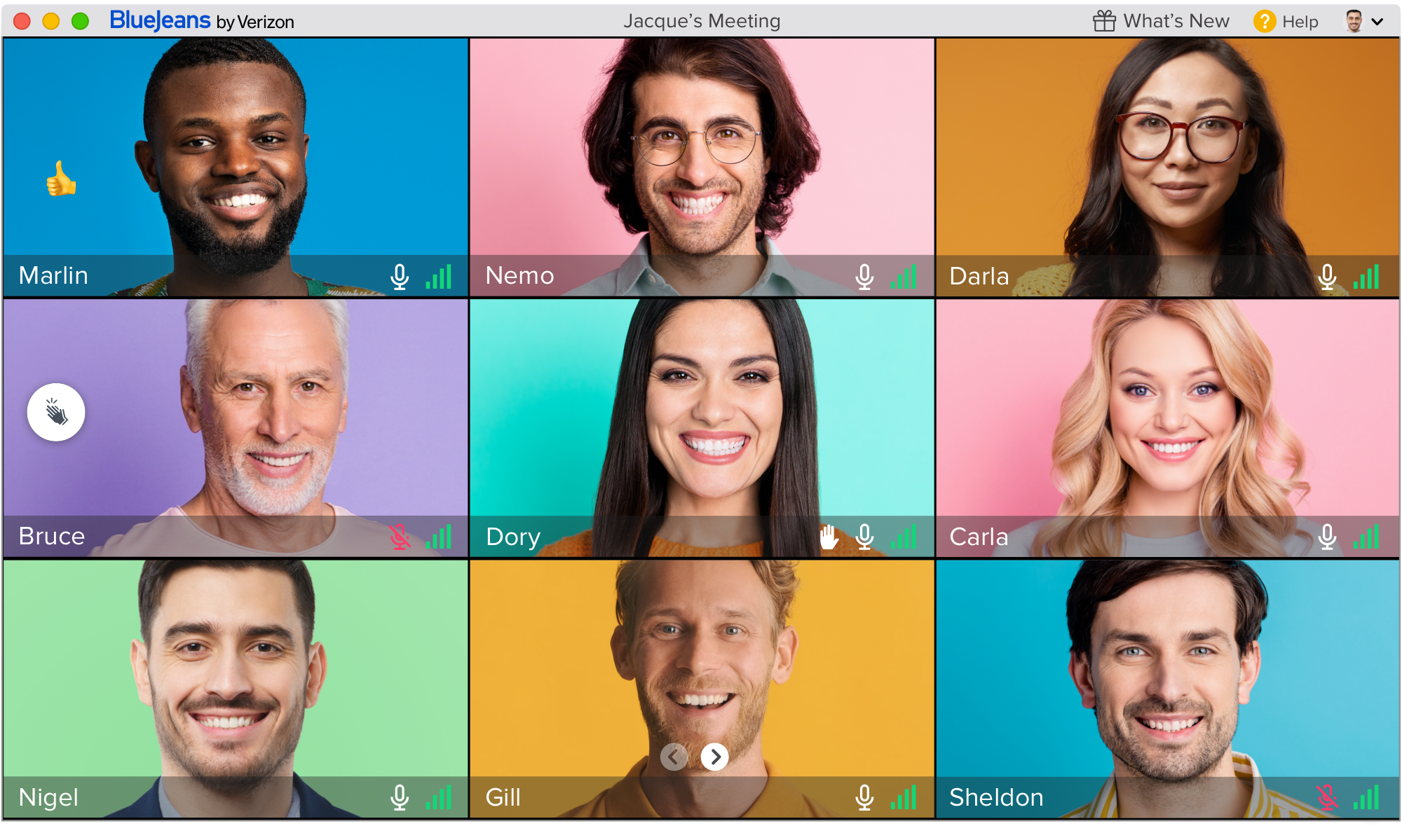 BlueJeans Meetings screenshot 2