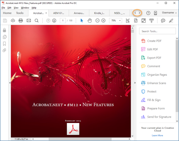 Adobe Acrobat DC screenshot 5
