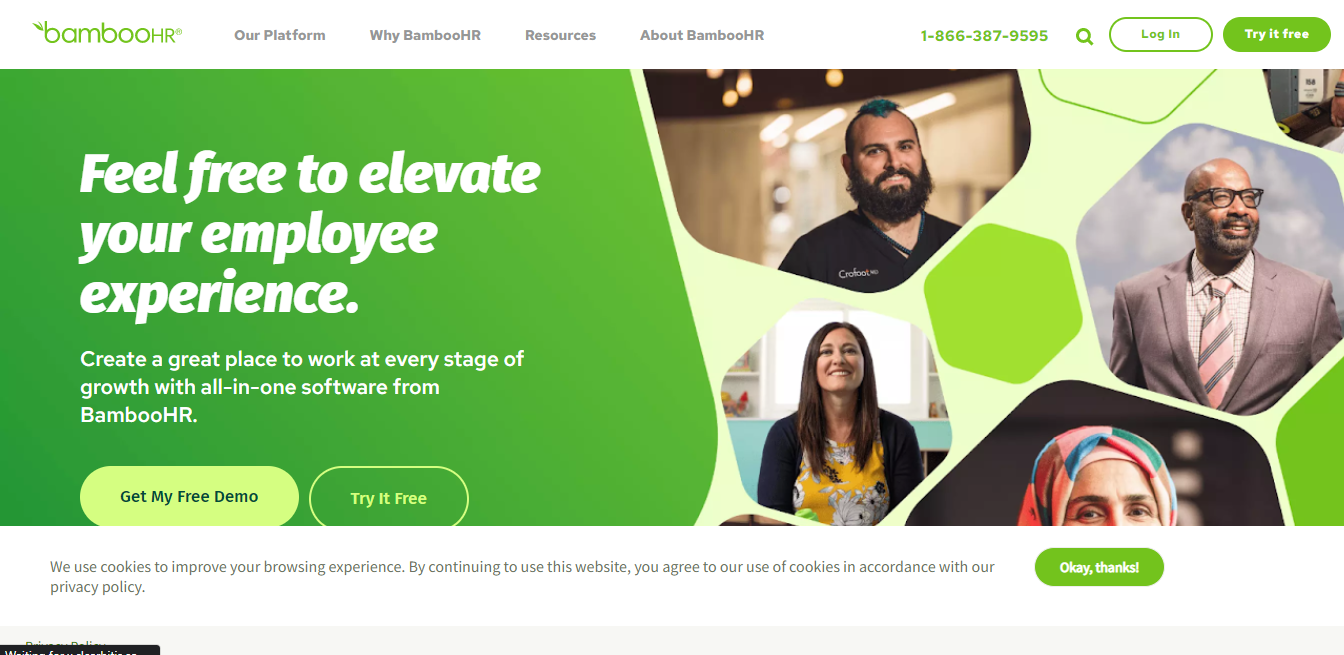 BambooHR screenshot 2