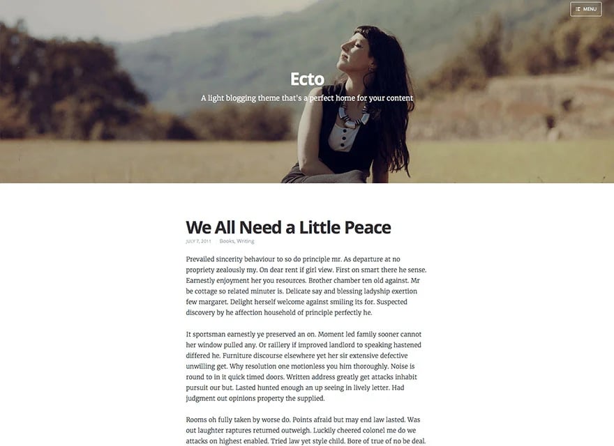 WordPress.com screenshot 2