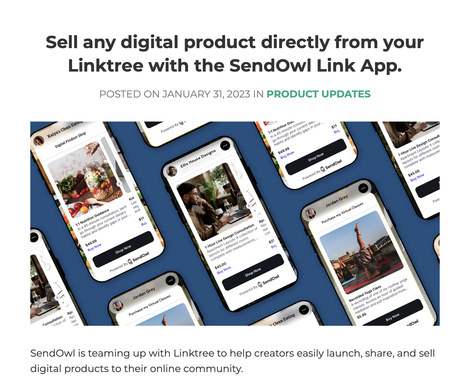 Sendowl screenshot 2